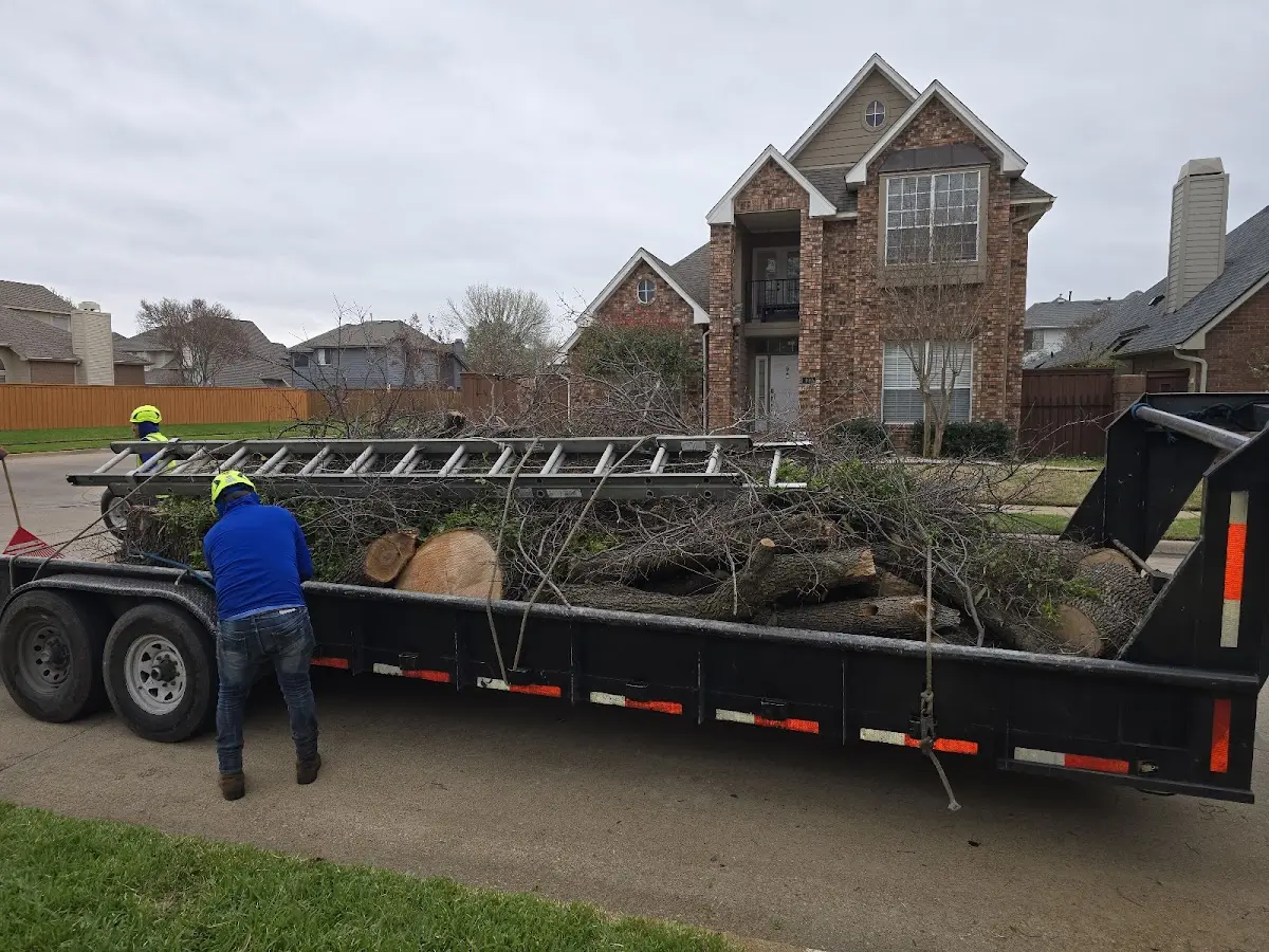 Expert Tree Removal with proper safety equipment in New Providence